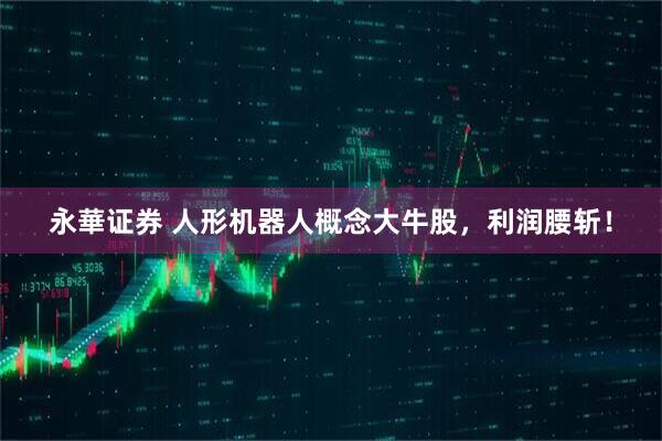 永華证券 人形机器人概念大牛股，利润腰斩！
